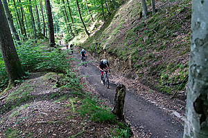 DSC02783.jpg