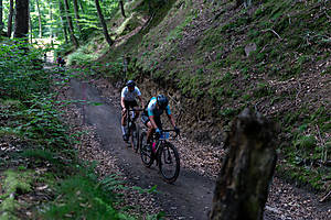 DSC02794.jpg