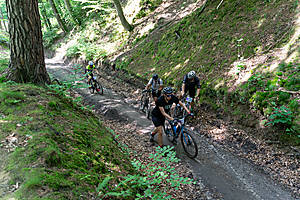 DSC02834.jpg