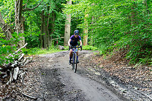 DSC03201.jpg