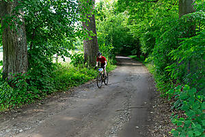 DSC03236.jpg