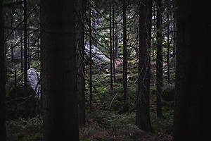 DSC06070.jpg