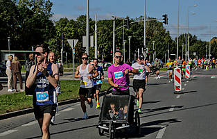 _MG_9935.jpg