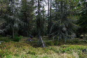 GGR2026_szklarska_174.jpg