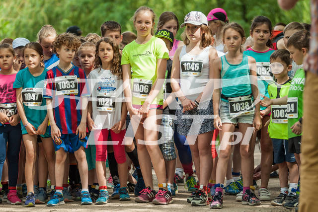 piaseczno16kids500m-00013.JPG
