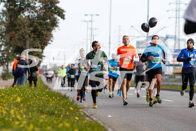 polmaratongdansk16-01335.jpg