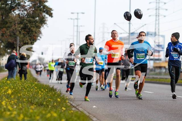 polmaratongdansk16-01338.jpg