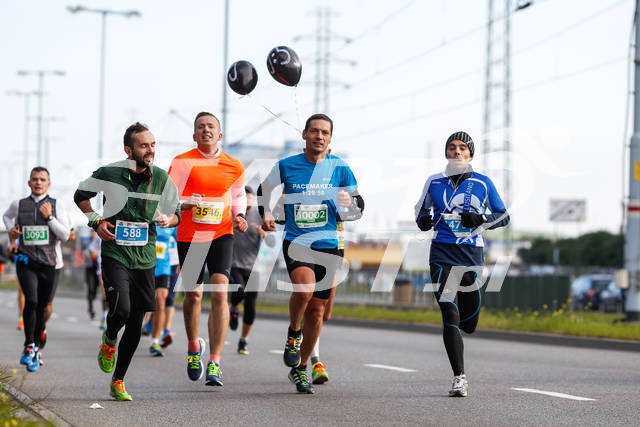 polmaratongdansk16-01339.jpg