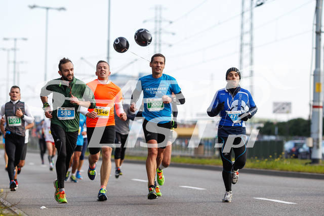 polmaratongdansk16-01340.jpg