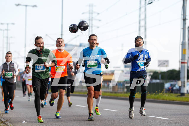 polmaratongdansk16-01341.jpg