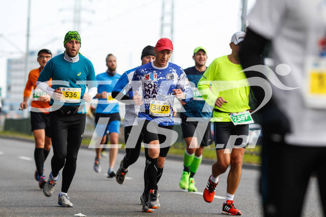 polmaratongdansk16-03328.jpg