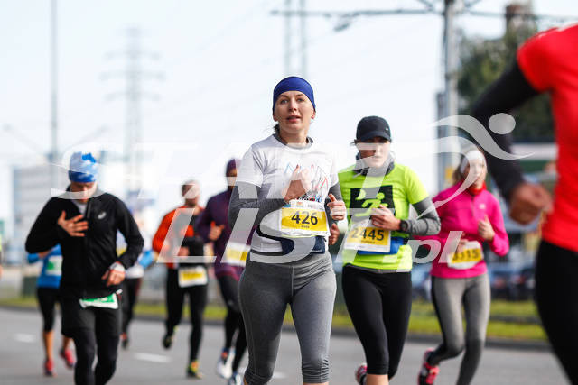 polmaratongdansk16-04312.jpg
