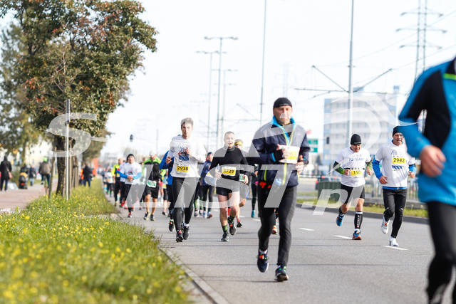 polmaratongdansk16-04870.jpg