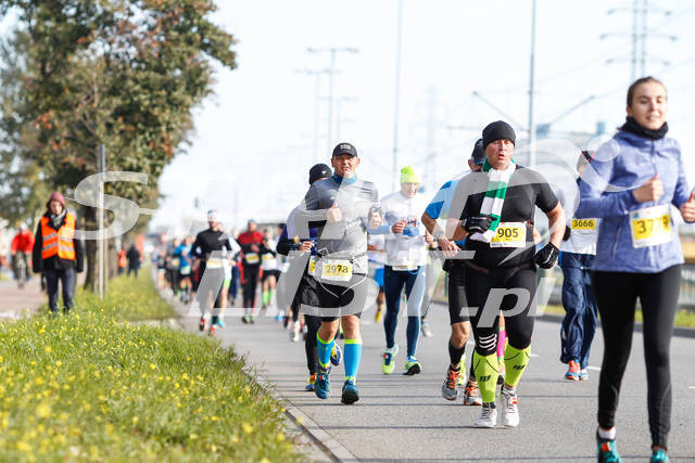 polmaratongdansk16-05047.jpg