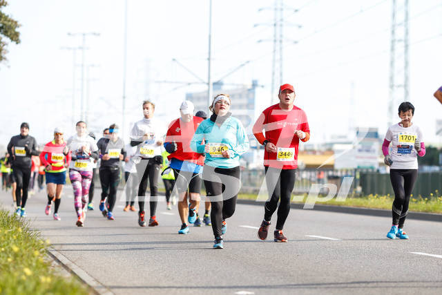 polmaratongdansk16-05157.jpg
