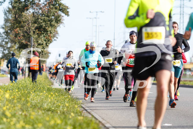 polmaratongdansk16-05351.jpg