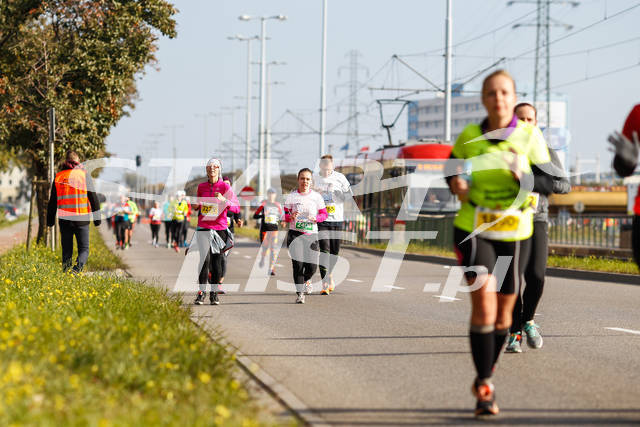 polmaratongdansk16-06550.jpg