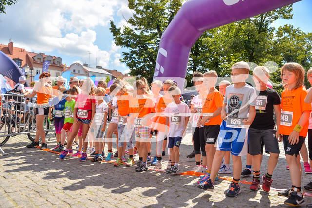 plockbieg500m-00018.jpg