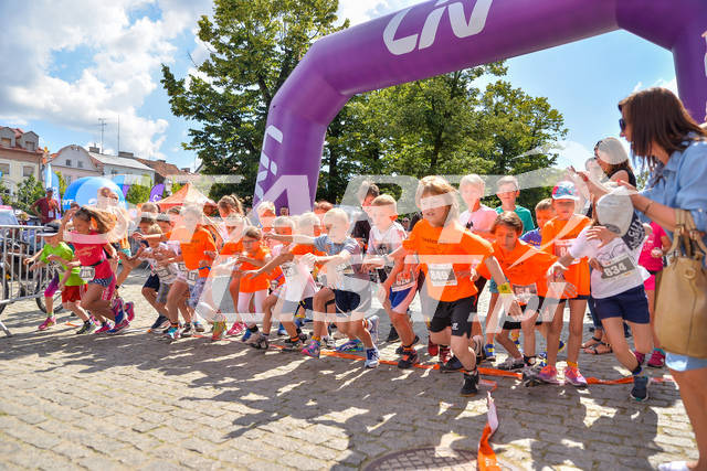 plockbieg500m-00028.jpg