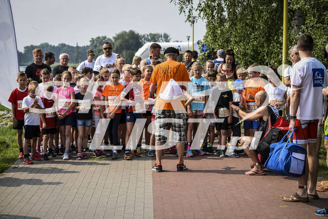 20180603slesin0393.jpg