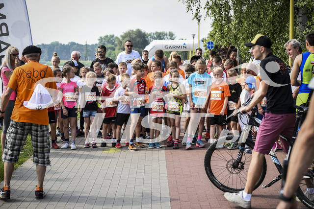 20180603slesin0396.jpg
