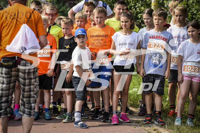 20180603slesin0400.jpg