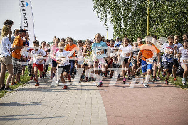 20180603slesin0414.jpg