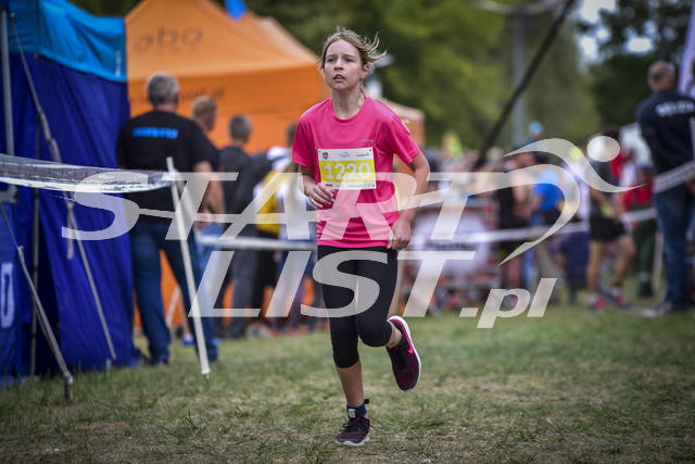 20180908malbork7364.jpg