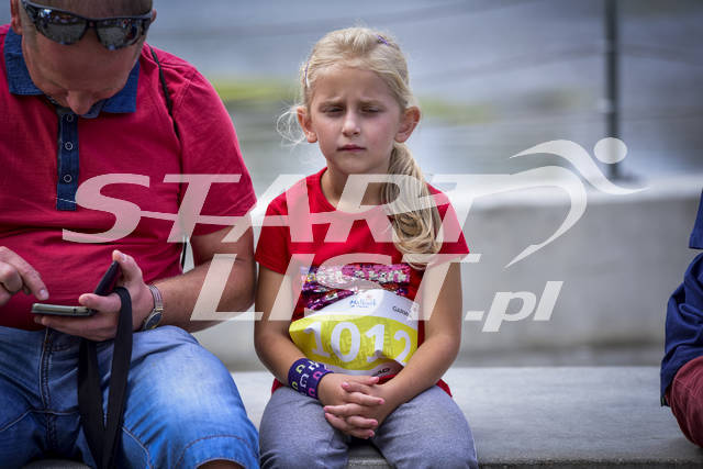 20180908malbork7397.jpg