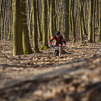 20190414mtbkolmx0497.jpg